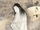 Yuki-onna