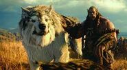 Warcraft