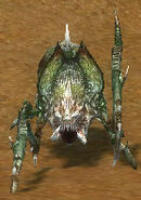 Moss Scarab