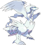 Reshiram