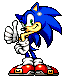 Sonic Advance Portrait.gif (7 KB)
