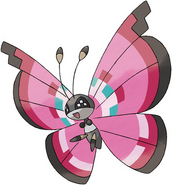 Meadow Pattern Vivillon