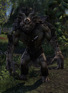 The Elder Scrolls