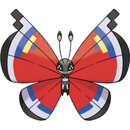 Modern Pattern Vivillon