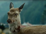 Undead Deer (Train to Busan)