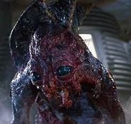 SethBrundle6.jpg (51 KB)