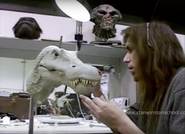 Sculpture of a dinosaur's head