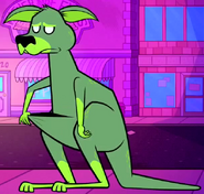 Kangaroo