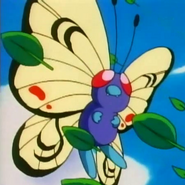 Orange Archipelago Butterfree