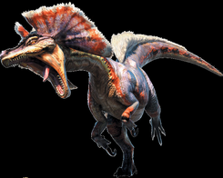 Great Jaggi