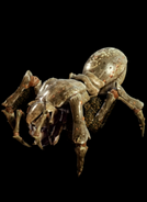Female