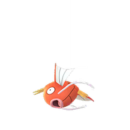 Female Magikarp