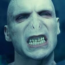 Lord Voldemort image.jpeg