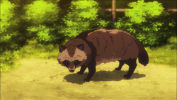 Renge introduces her tanuki, Gu