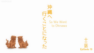 Title card "So We Went to Okinawa"