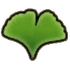 Ginkgo biloba