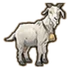 Goat