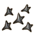 Spikes (Makibishi)
