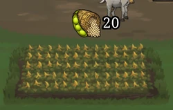 Farming Soybean, ready.