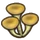 Mushrooms