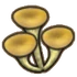 Mushrooms