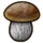 Porcini mushroom