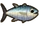 Tuna