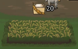 Farming Rice, ready.