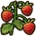 Woodland strawberry