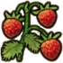 Woodland strawberry