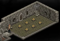 Citadel - Mushroom farm