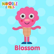 Blossom | Noodle & pals Wiki | Fandom