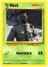 NoPixel Card