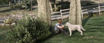 Bundy with Cleo's dog, Antigone August 20th, 2022