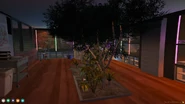 The Main Habitat Room of the Neon Jungle facility in Grapeseed, featuring multiple habitat tanks, an aquatic pond, and aviary.