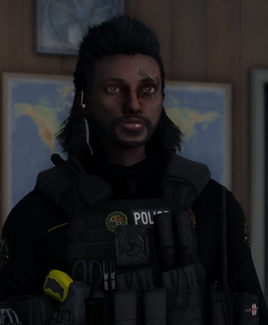 Mullet