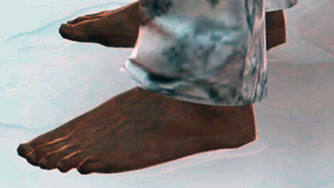 VICTOR FEET