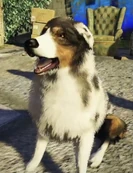 Coppa † (Barry Benson)