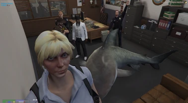 Lauren and the Shark - Healed Scar