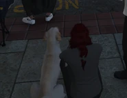 Harlow and Biscuit Nov 20, 2022