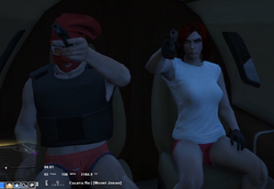 Plane Hijacking.png