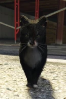 Lola † (Edbert Ropeburn)