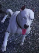 Hellebore "Hell" (Ophelia Dawson)