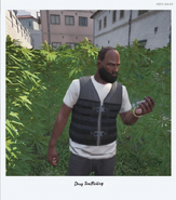 4Head cultivating weed