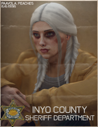 Police Report Photo