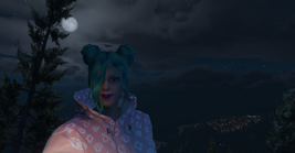 Hunting at night and enjoying the view of Los Santos