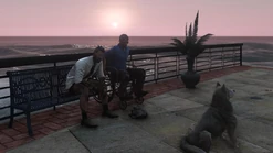 Therapy session with Rocky July 18th, 2022