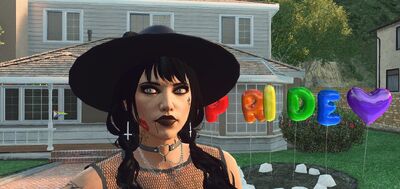 The Long house celebrating pride