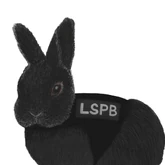 Winston's rabbit, Spud Walker Art by Tucnaacek#9368