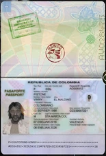 Vinny Pistone El Maldino Head of Transportation